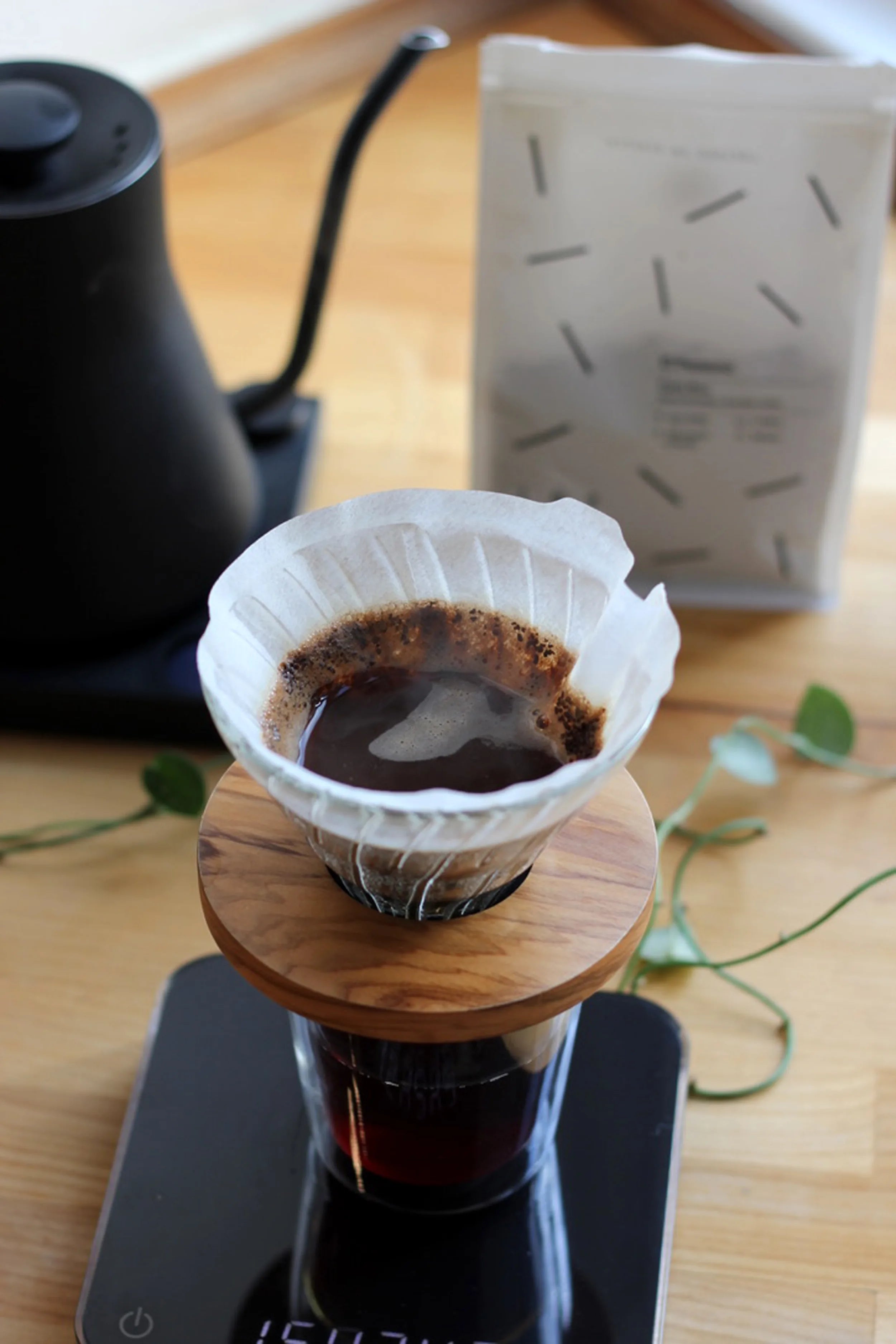 Tipos de café filtrado